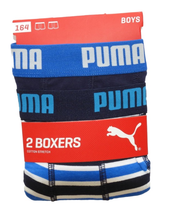 BASIC BOXER STRIPED 2P BLU