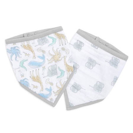 Natural History 2pk Bandana Bib