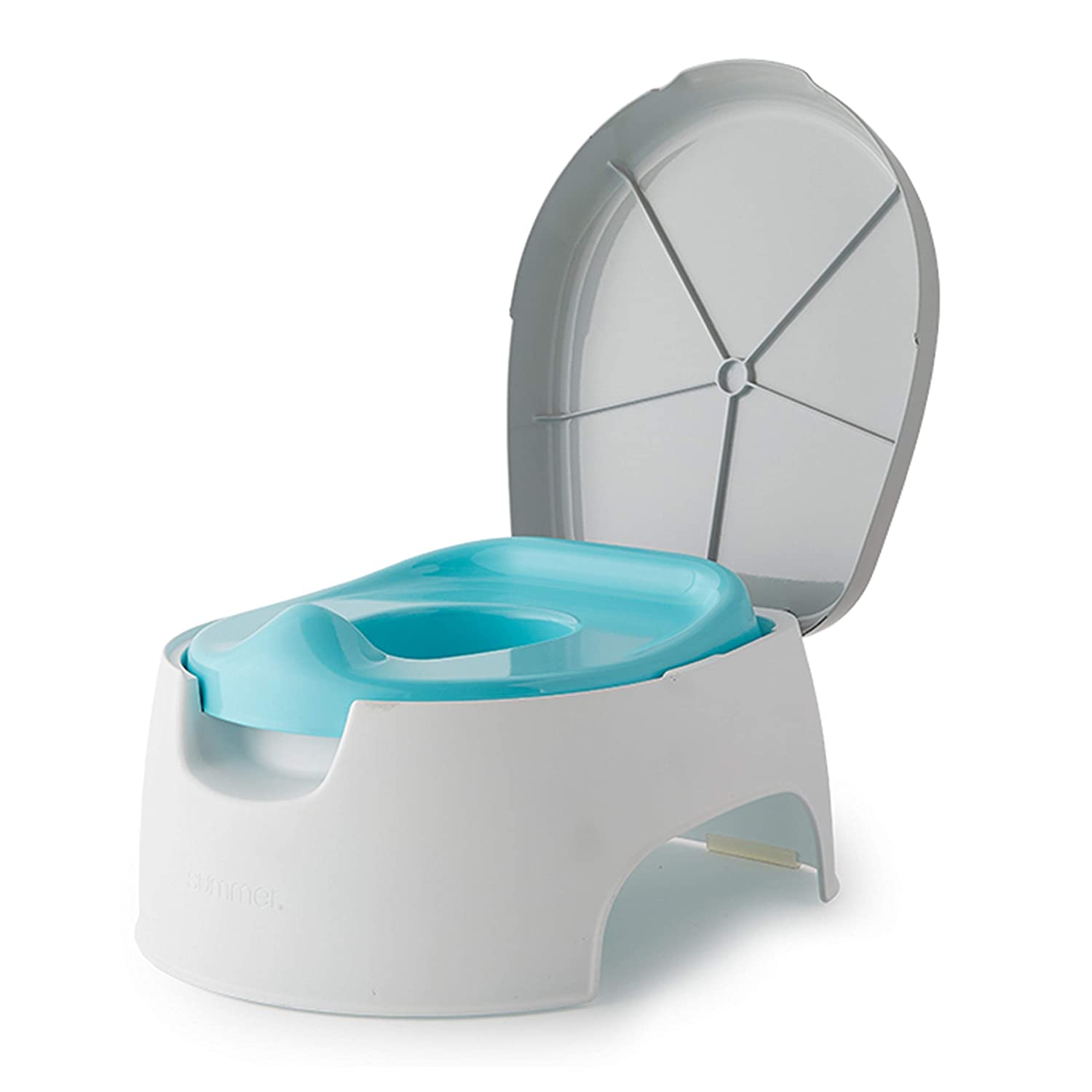 2-in-1 Step Up Potty
