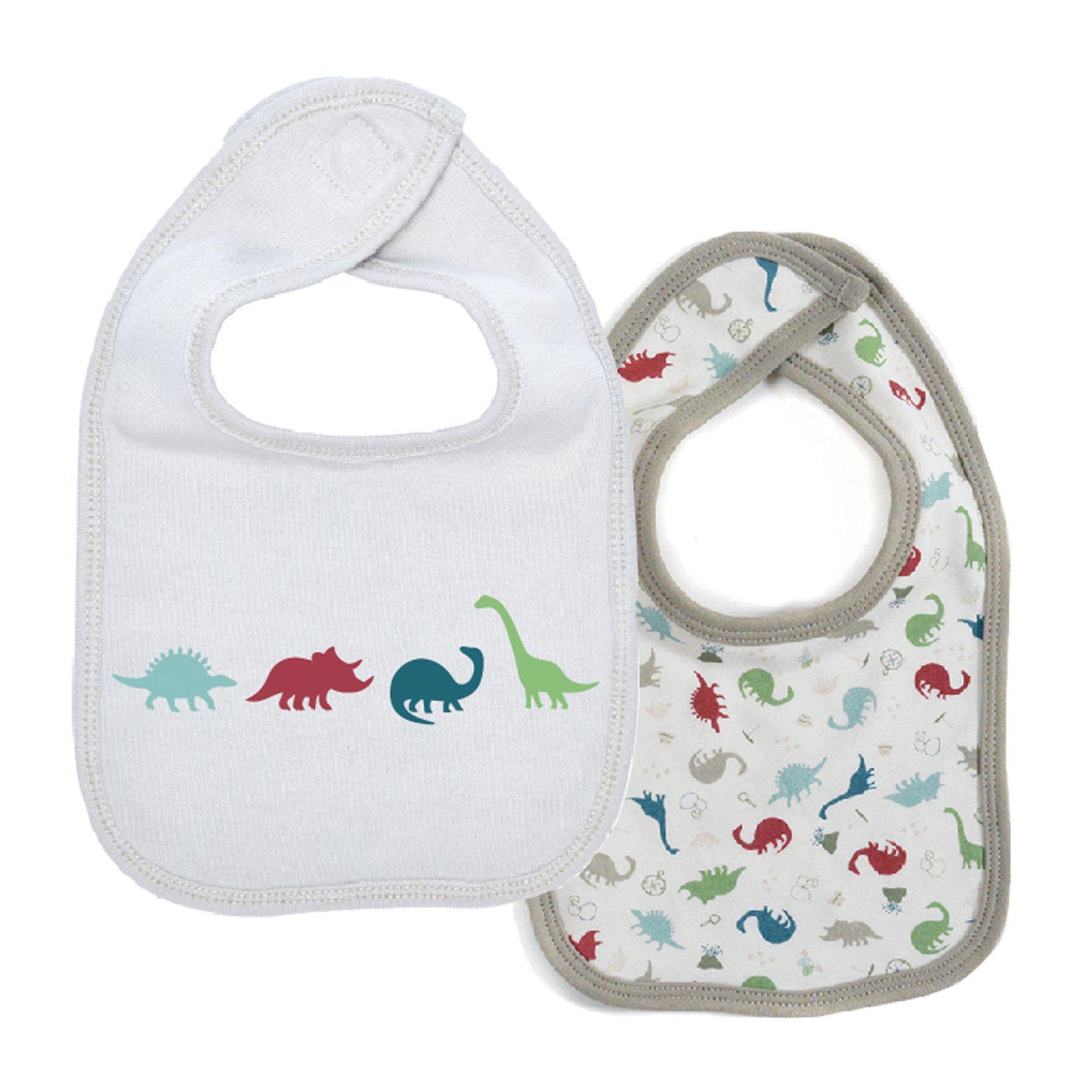 Dino Expedition Org Bib