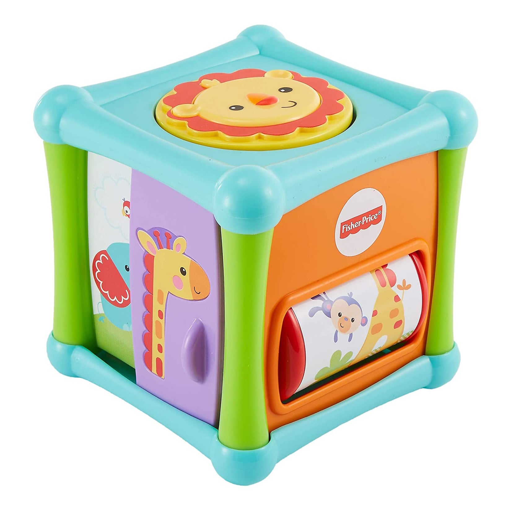 FP ANIMAL ACTIVITY CUBE