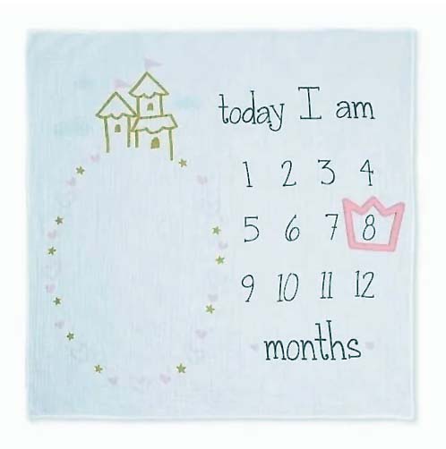 GERBER SEE ME GROW GIFT SET