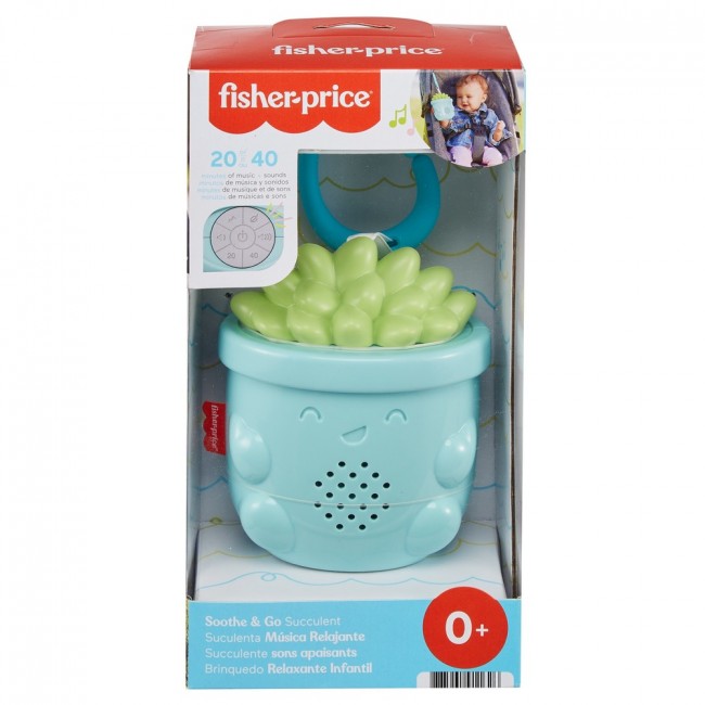 FP Succulent Soother