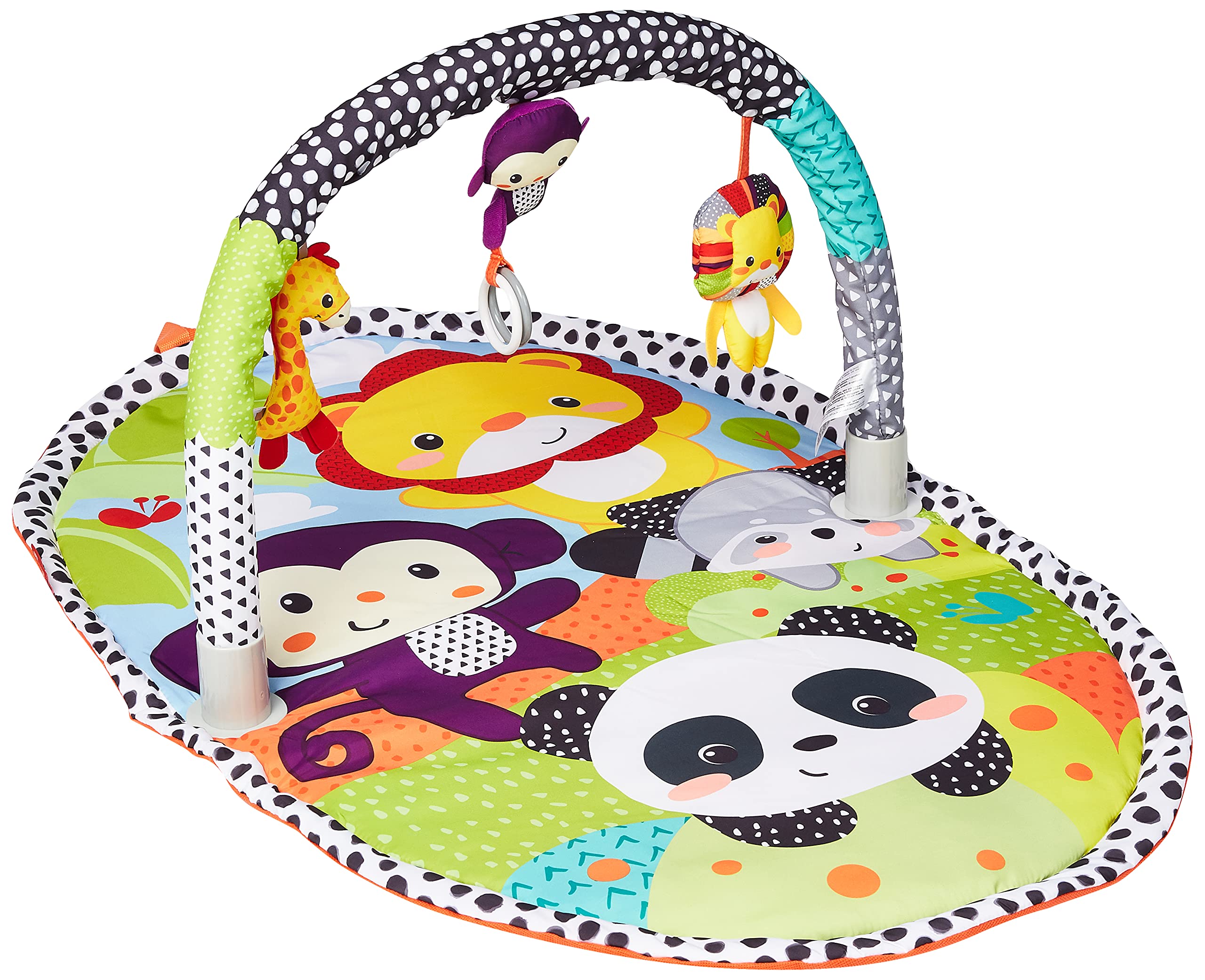EXPLORE & STORE ACTIVITY GYM