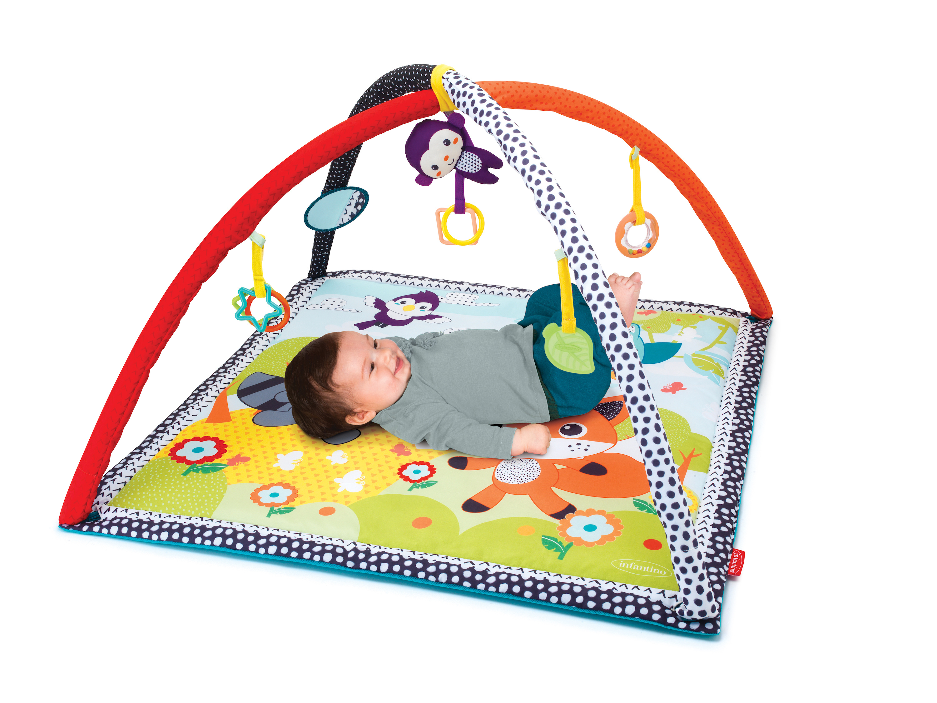 SAFARI ACTIVITY GYM