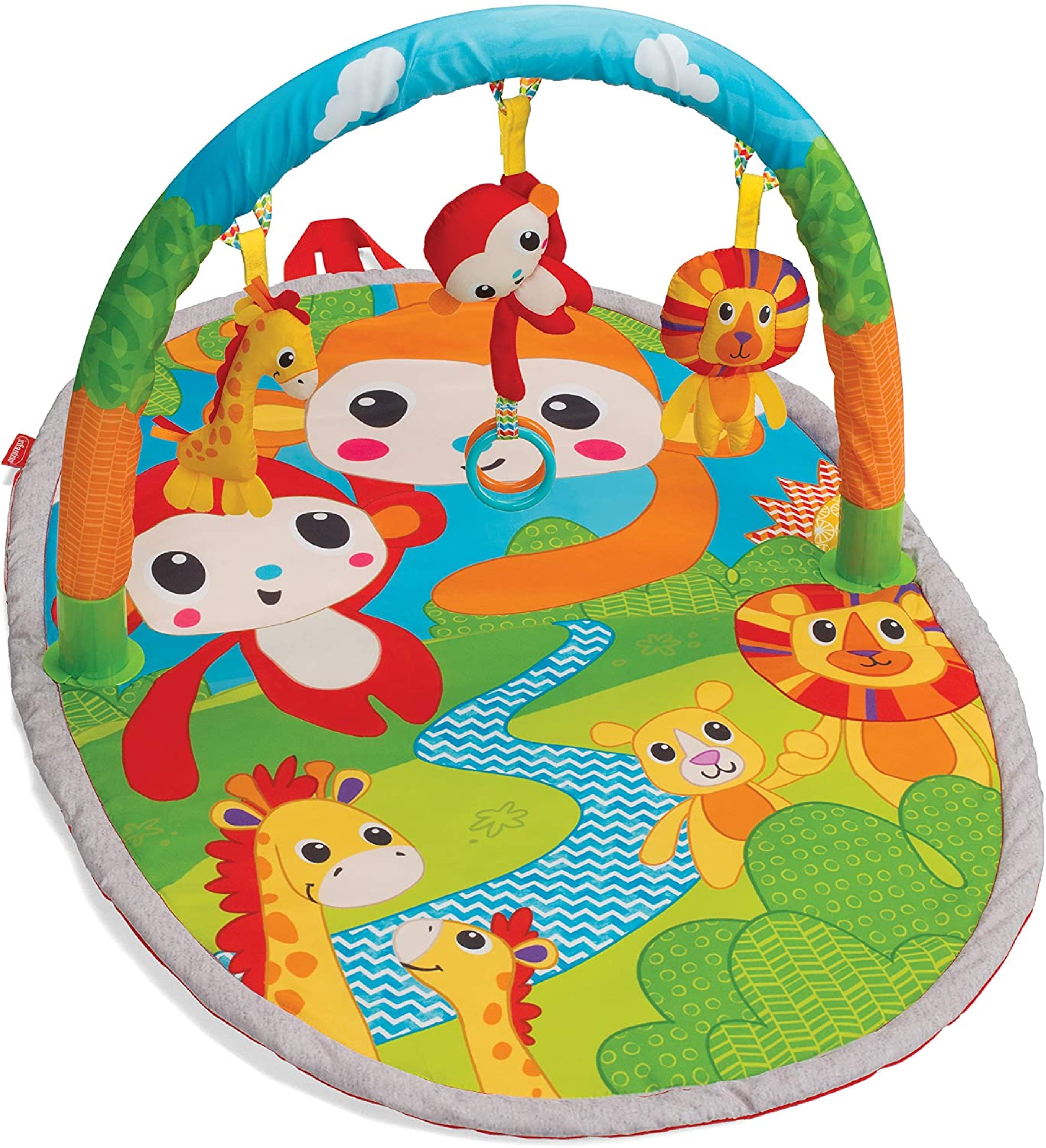 INFANTINO EXPLORE/STORE  GYM