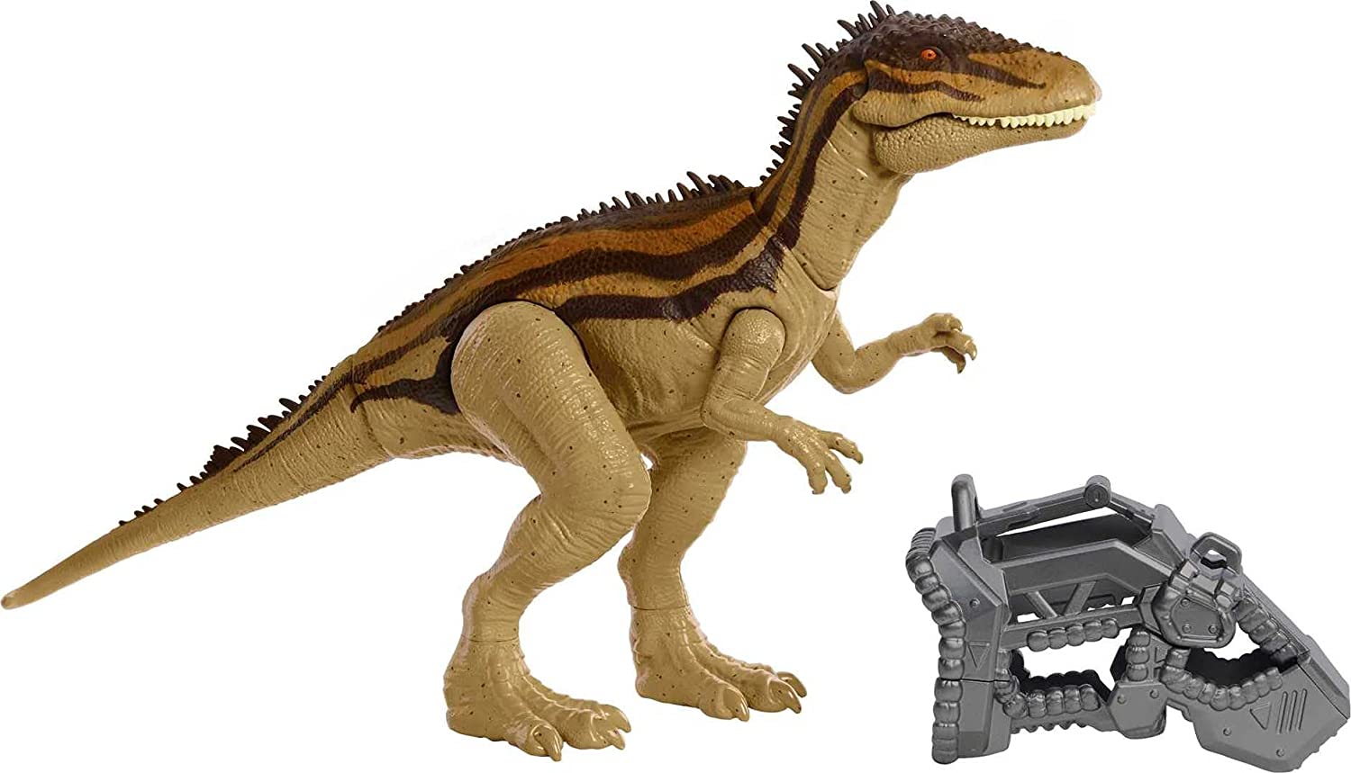 JW CARCHARODONTOSAURUS