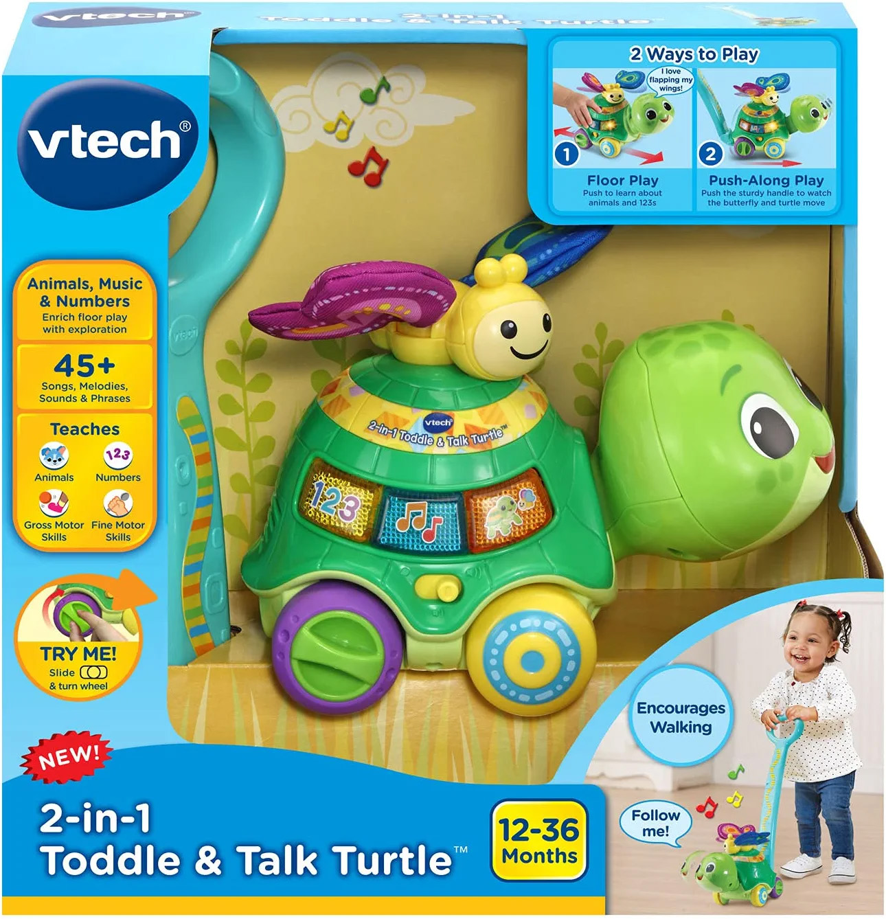 2 in 1 Push & Discover Turtle