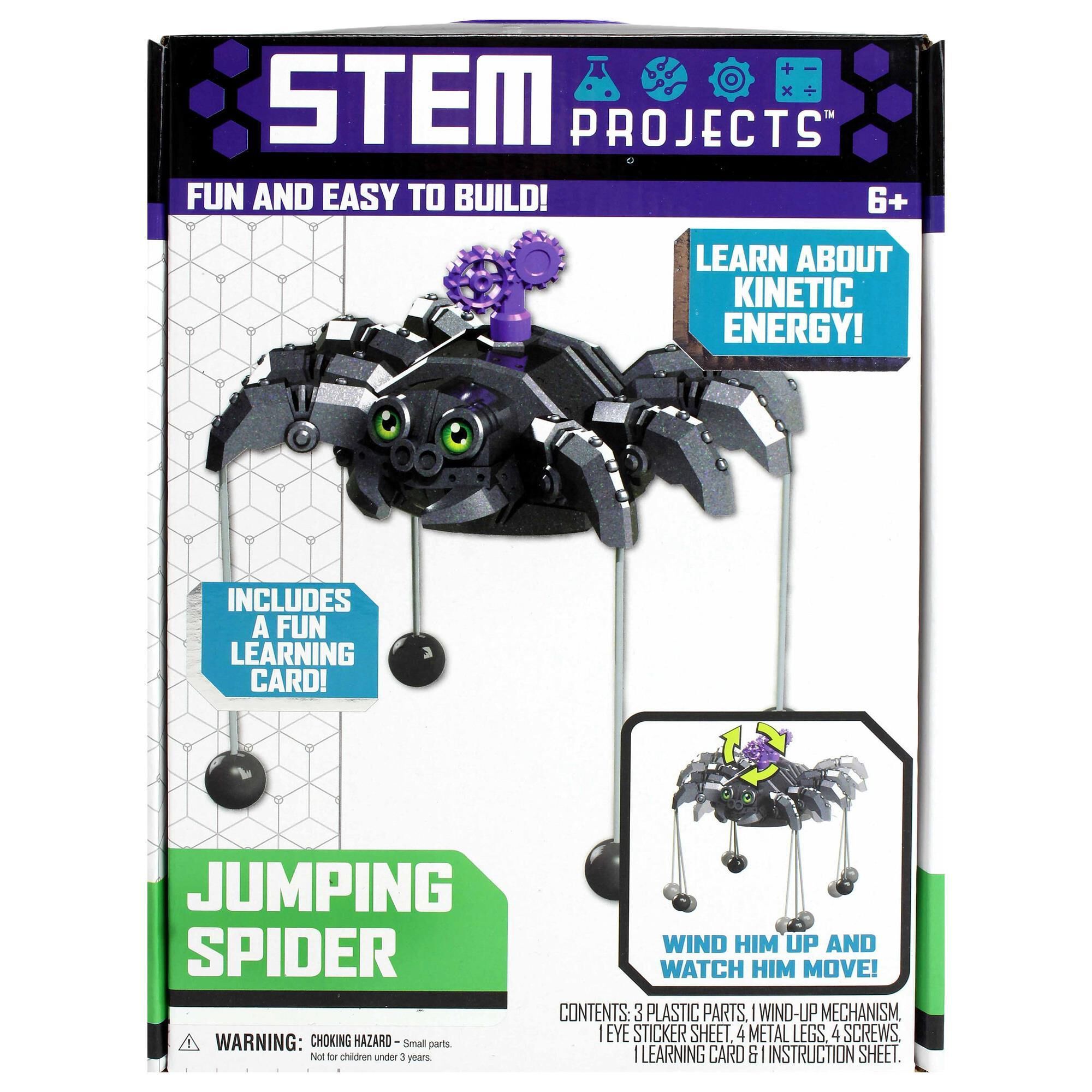 STEM PROJECT SPIDER
