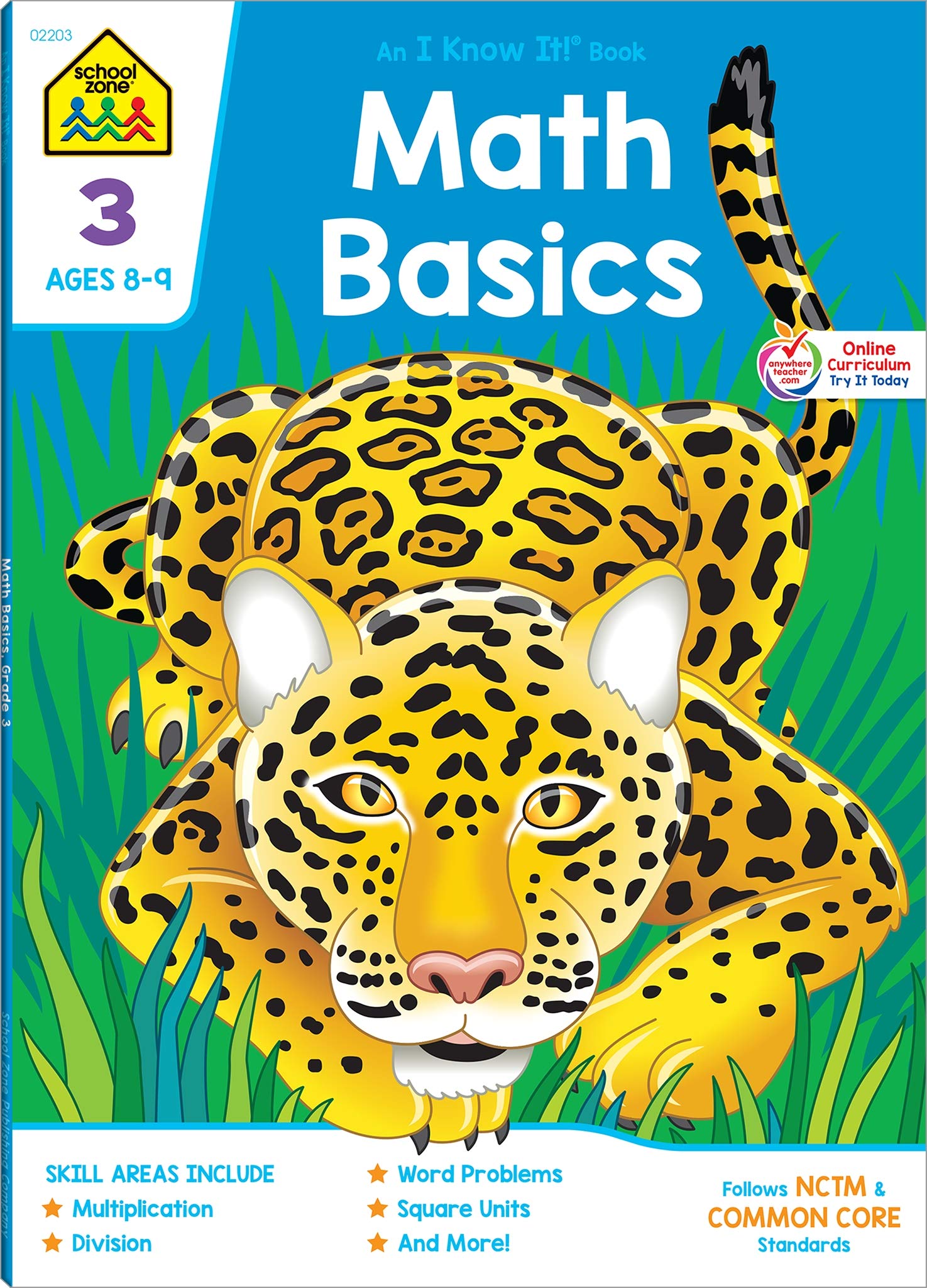 Math Basics 3 Activity Book