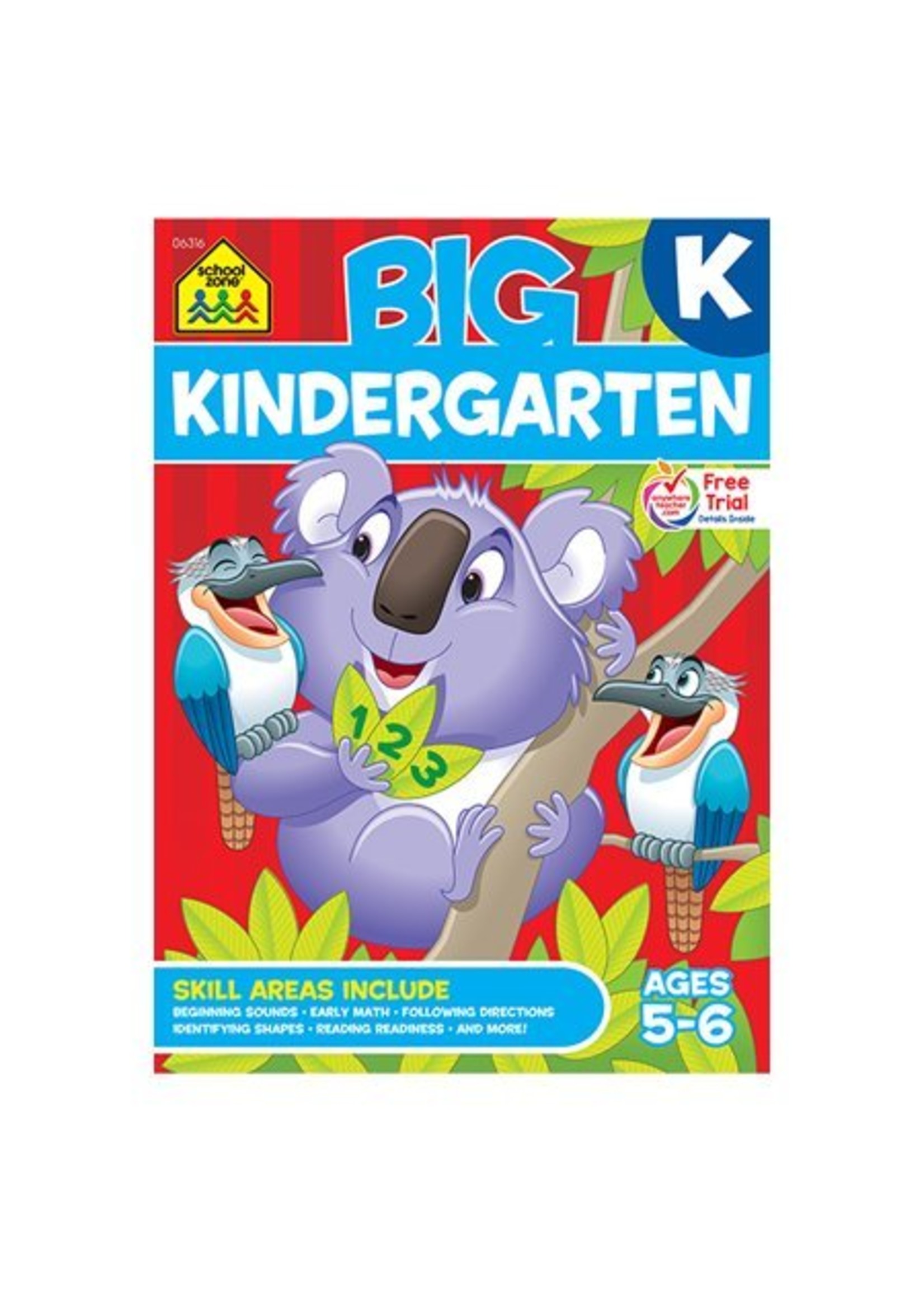Big Kindergarten Workbook
