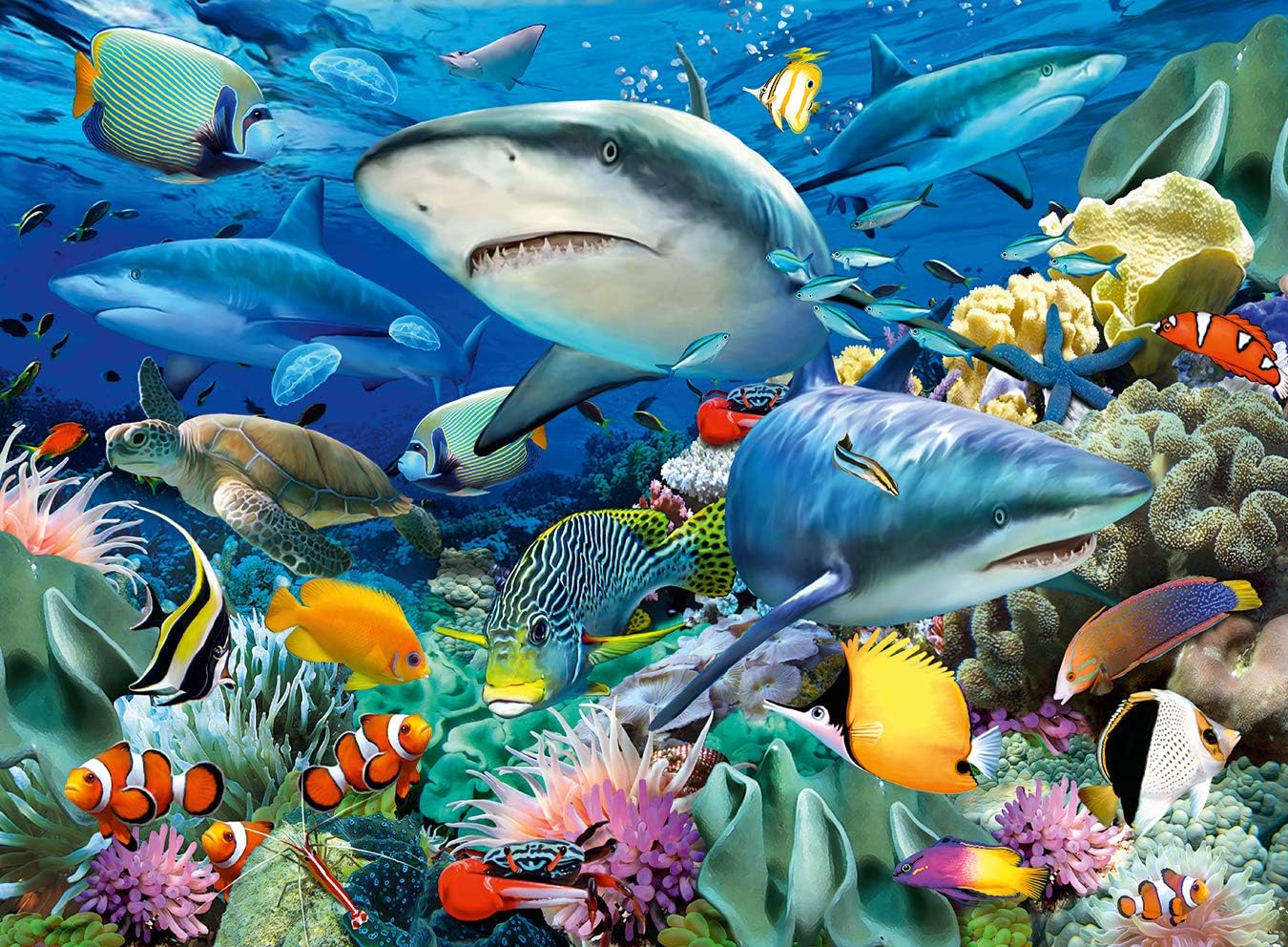 Shark Reef Puzzle