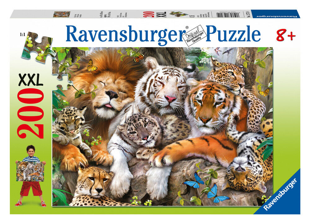 Big Cat Nap Puzzle