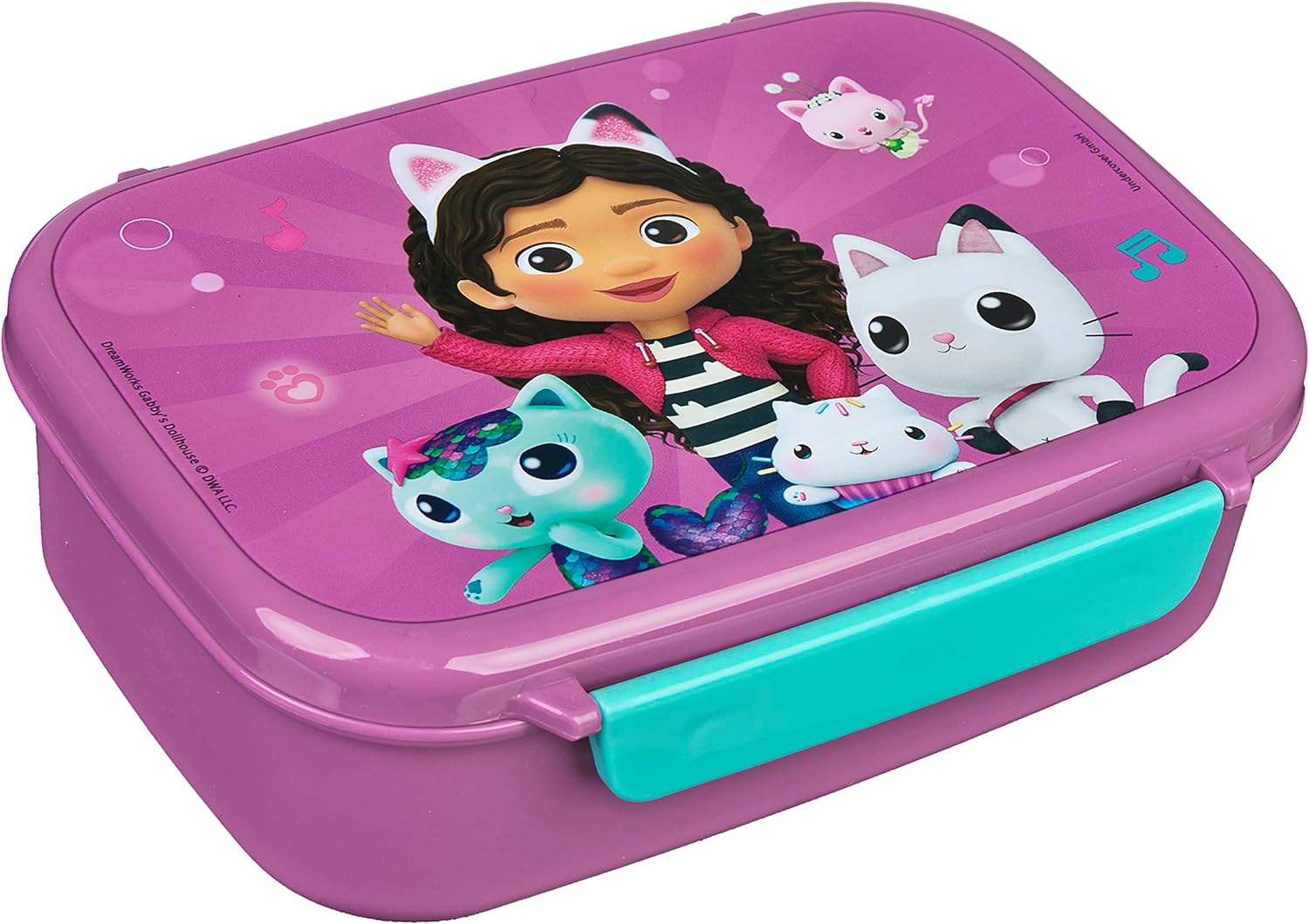 Gabby's Lunch  Box with 24pc