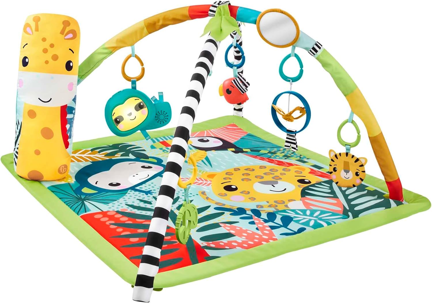 Rainforest Gym