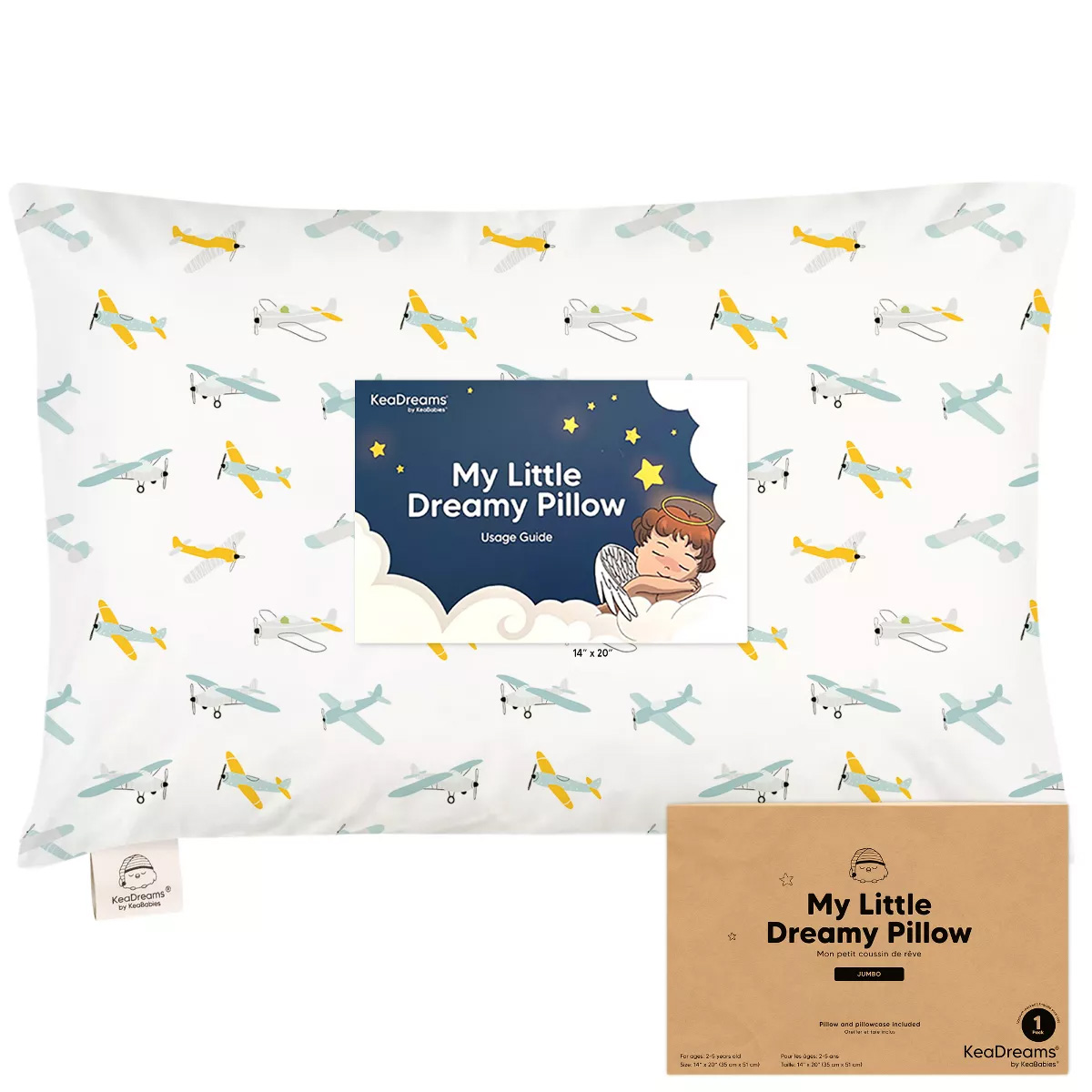 Plane Pillow & Case