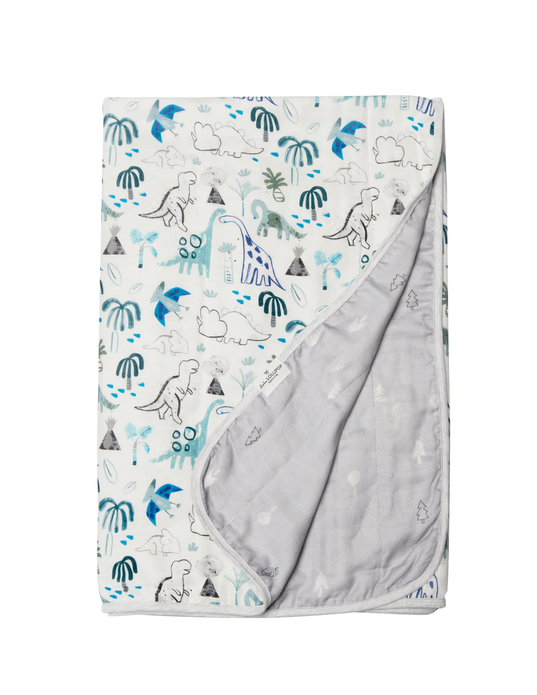 MUSLIN BLANKET DINOSAURS