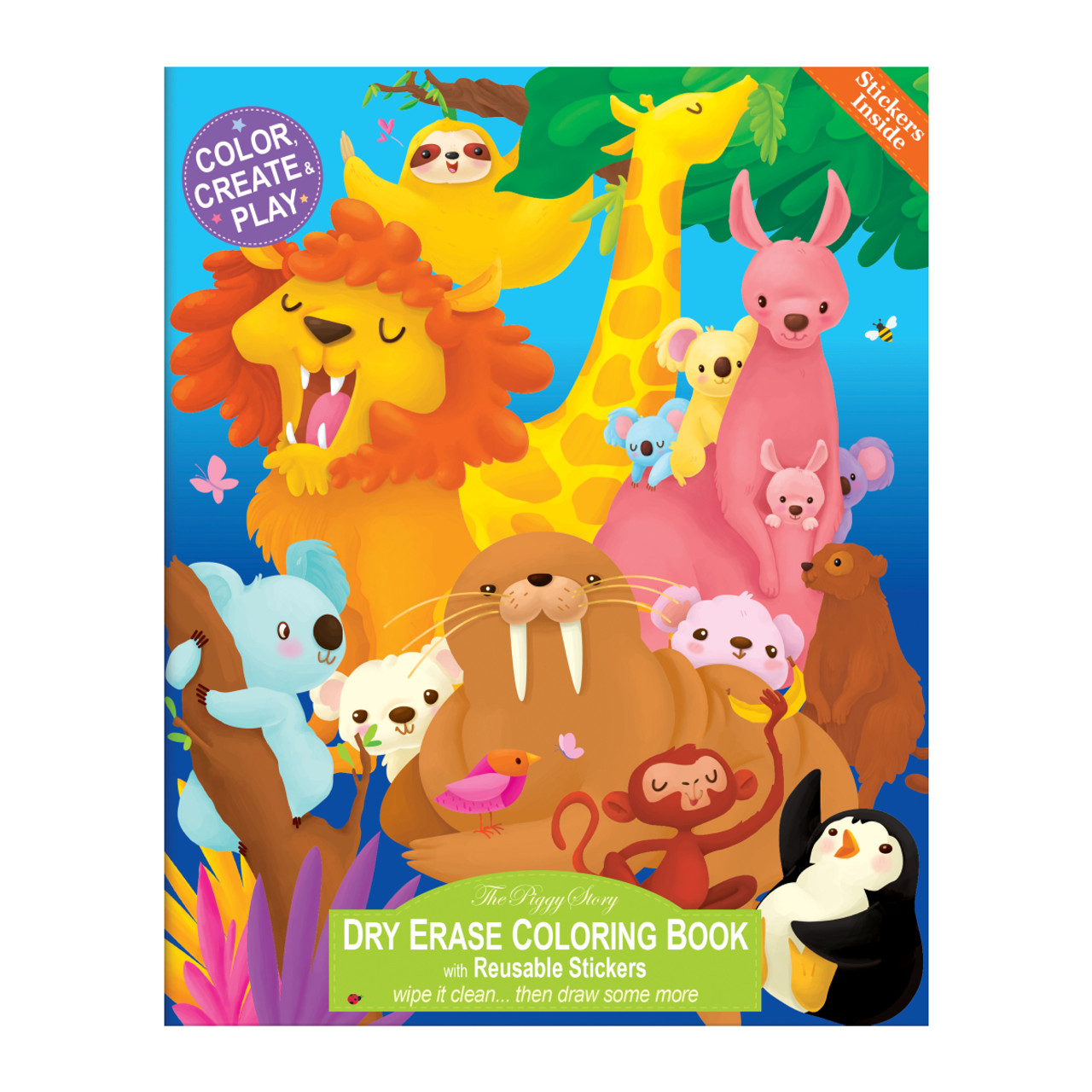 Dry Erase Coloring Book Valu Pk