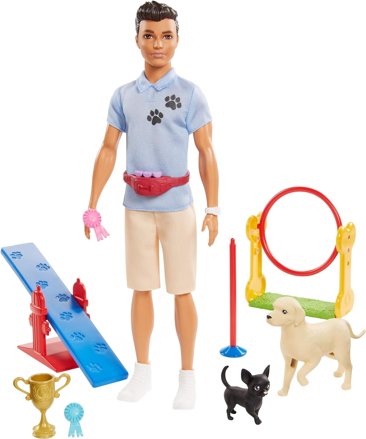 Barbie Ken Doll Set