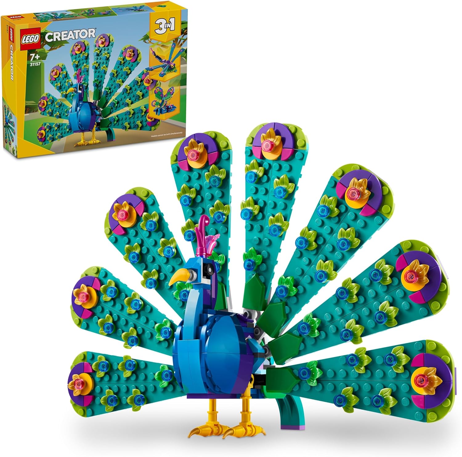 Exotic Peacock