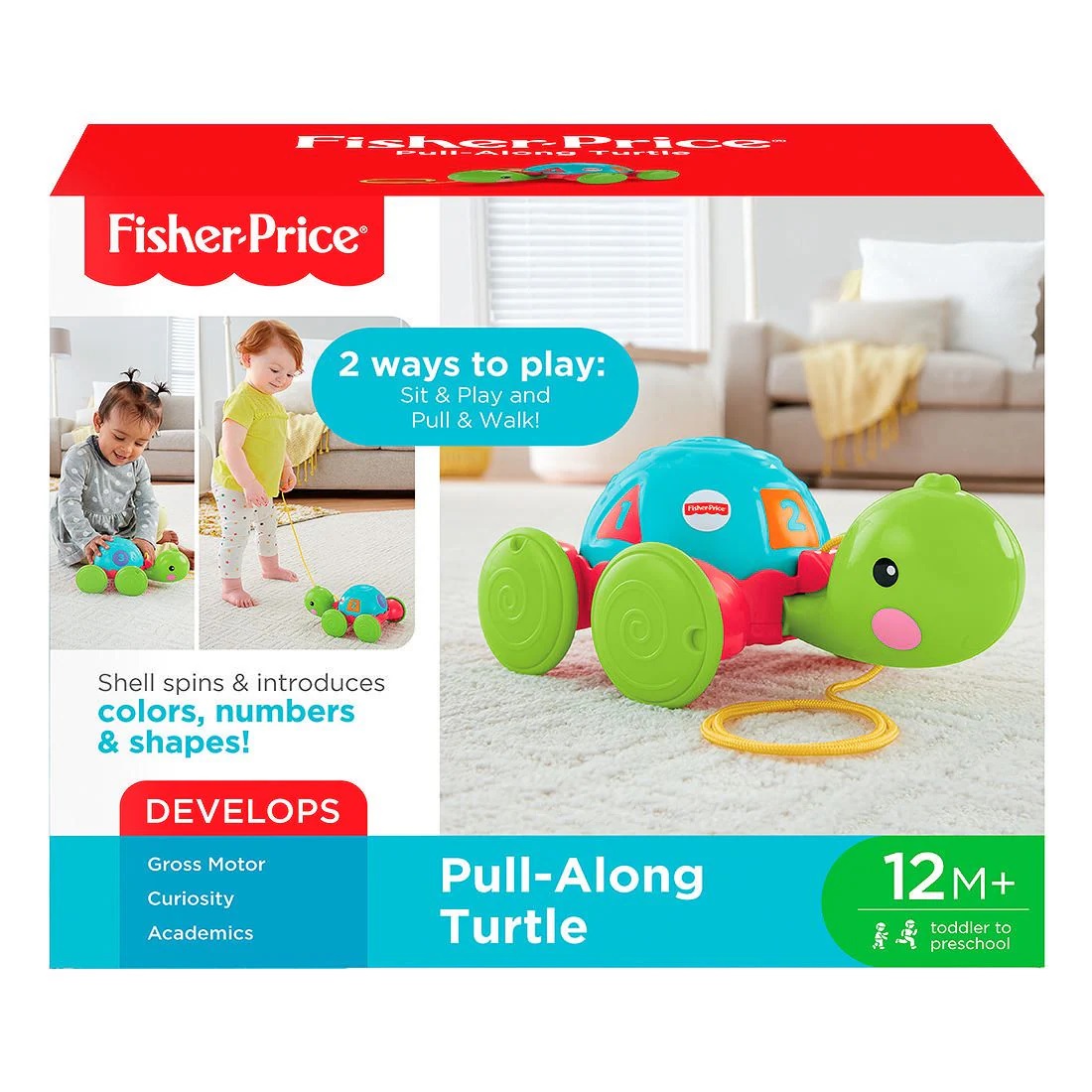 FP TURTLE LEARNING
