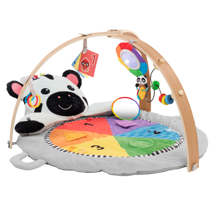 ACTIVITY MILESTONES PLUSH GYM