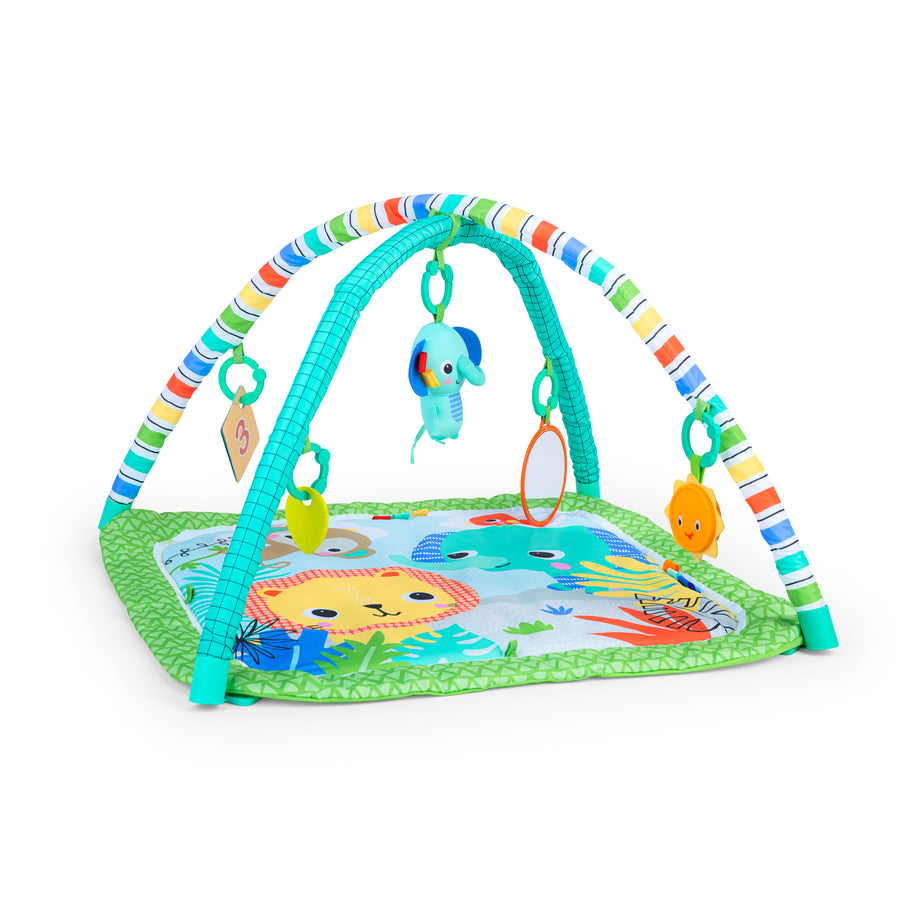 BS WILD WIGGLES ACTIVITY GYM