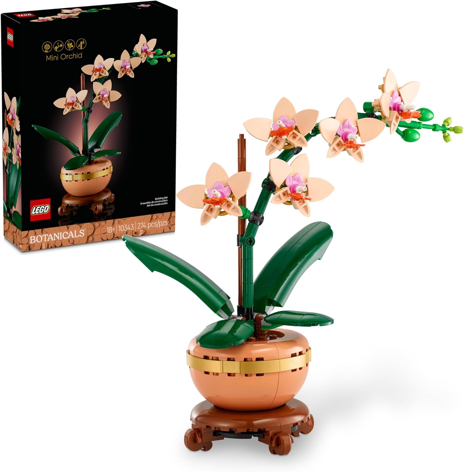 MINI ORCHID
