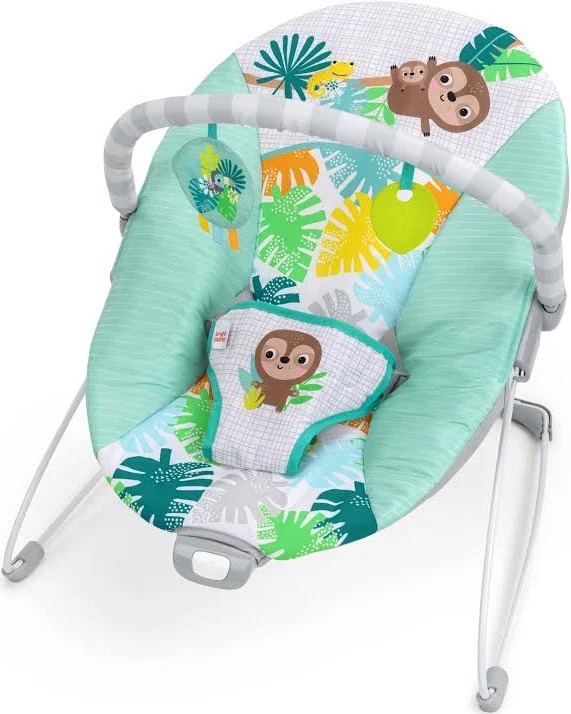 Wild Wonders Bouncer