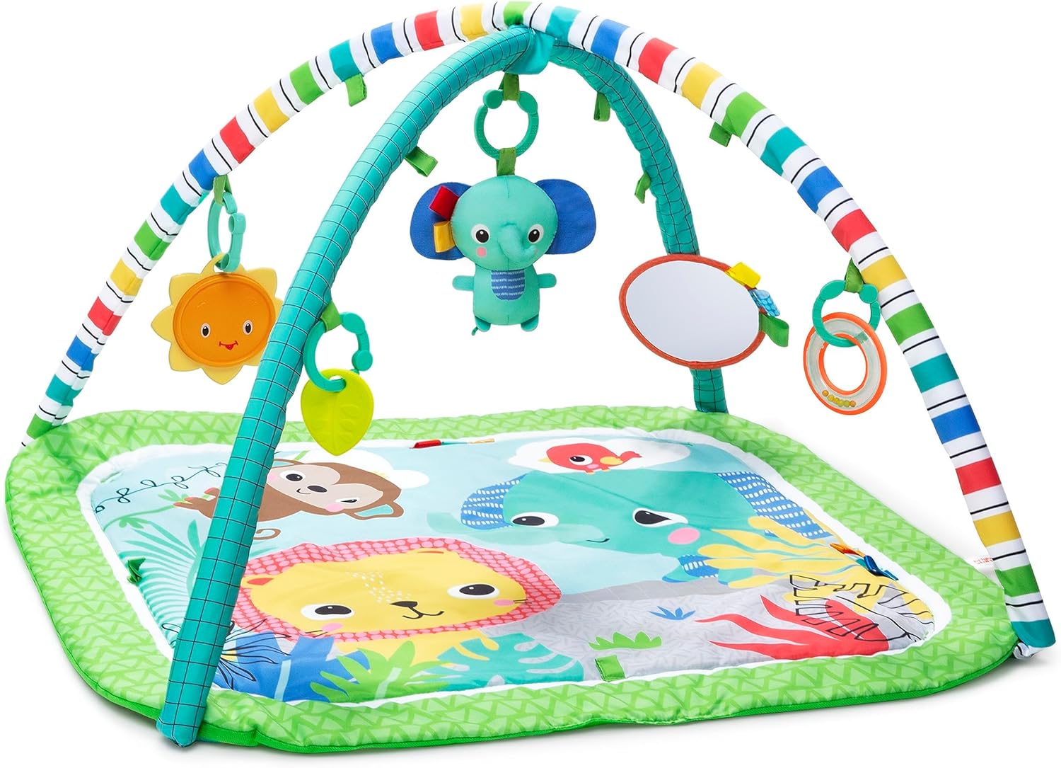 Wild Wiggles Jungles Gym